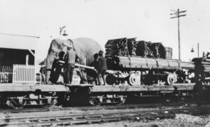 StateLibQld_2_185639_Circus_moving_by_train_somwhere_in_Queensland,_1920s