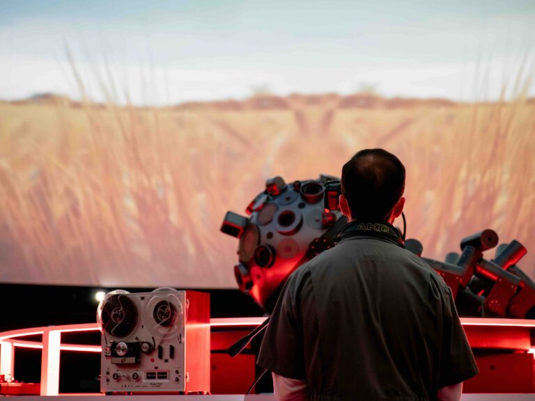 Person in front of wheat projection