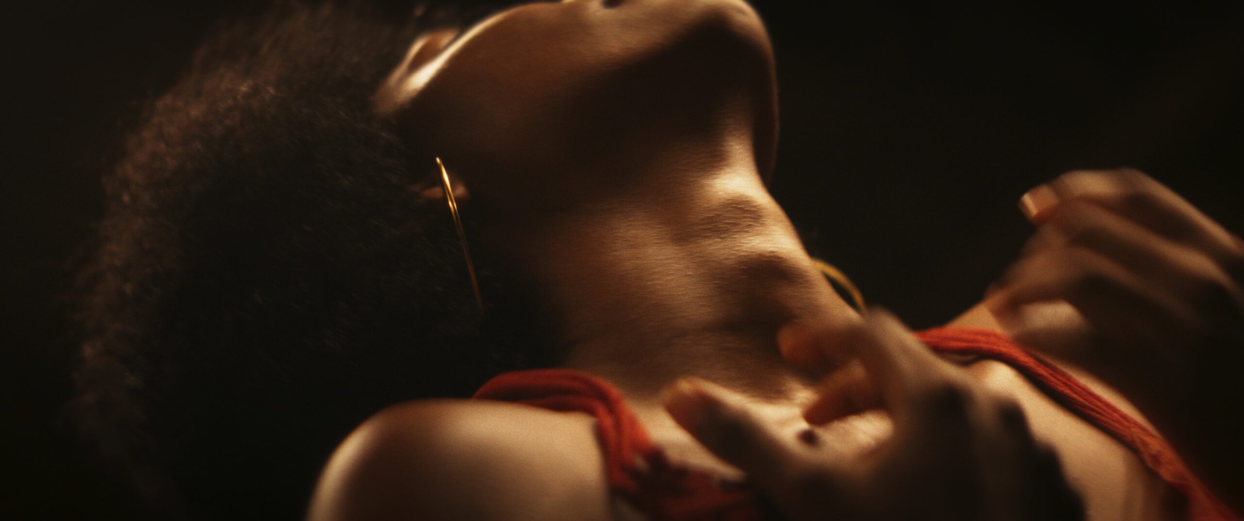 salsa_-_Still 1 SALSA_[MATEO_LOPEZ]1 (1)