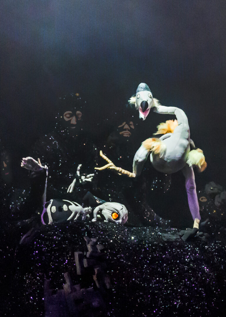 Copy of Dodo Dancing Photo credit David Zadig