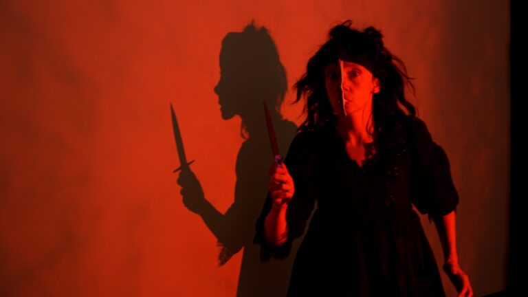 Manual Cinema's The 4th Witch -14