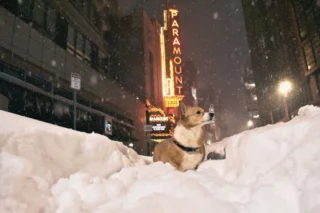 Stay safe out there!

📸: @orionthecorg last week in front of the Paramount marquee!
